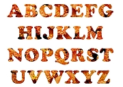 Wall_Art_Alphabet_Photography_Art_ 147